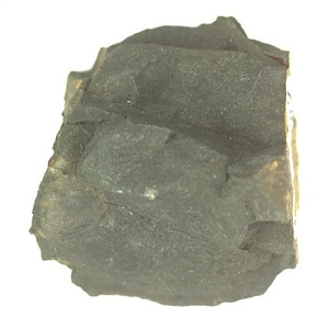 日本産中生代軟体動物化石