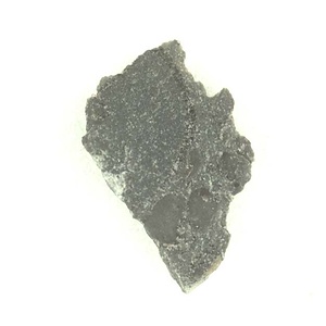 日本産中生代軟体動物化石