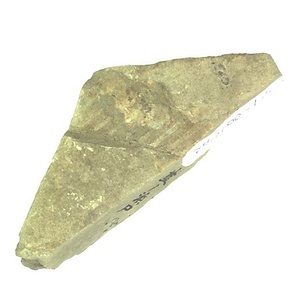 日本産中生代軟体動物化石