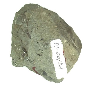 日本産中生代軟体動物化石