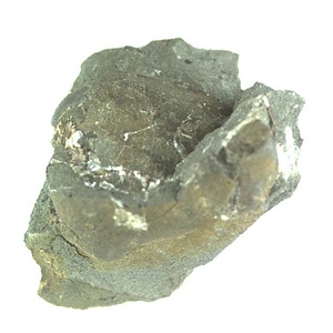 日本産中生代軟体動物化石