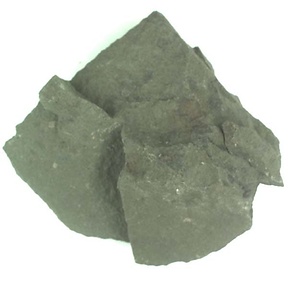 日本産中生代軟体動物化石