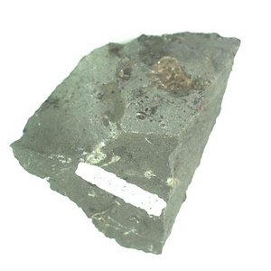 日本産中生代軟体動物化石