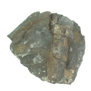 日本産中生代軟体動物化石