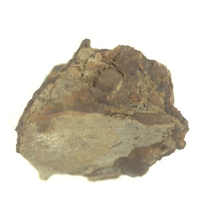 Nuculana (Jupeteria) sp.