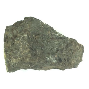 １９８９年度地質・古生物調査委託成果品