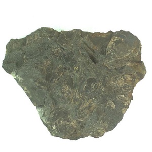 １９８９年度地質・古生物調査委託成果品