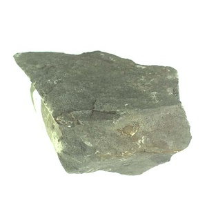 １９８９年度地質・古生物調査委託成果品