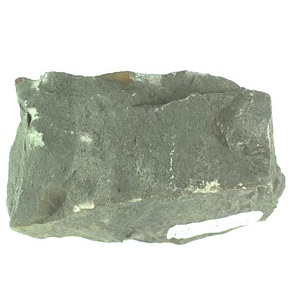 １９８９年度地質・古生物調査委託成果品