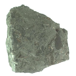 １９８９年度地質・古生物調査委託成果品