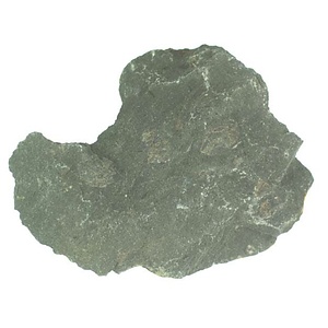 １９８９年度地質・古生物調査委託成果品