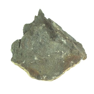 １９８９年度地質・古生物調査委託成果品