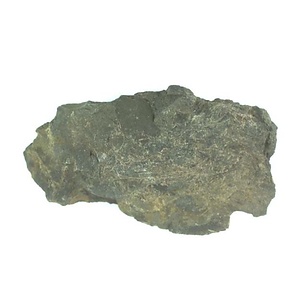 １９８９年度地質・古生物調査委託成果品