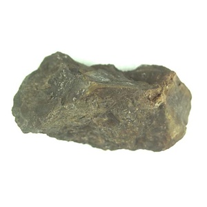 １９８９年度地質・古生物調査委託成果品