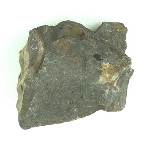 １９８９年度地質・古生物調査委託成果品