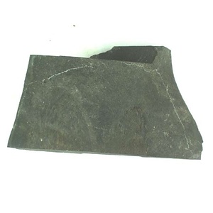 １９８９年度地質・古生物調査委託成果品