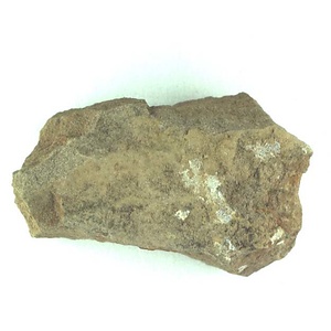 １９８９年度地質・古生物調査委託成果品