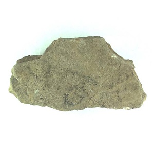 １９８９年度地質・古生物調査委託成果品