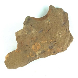 １９８９年度地質・古生物調査委託成果品