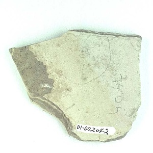 カゲロウ目の一種（幼虫）