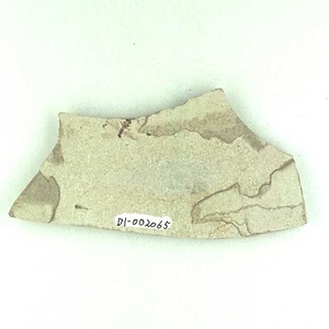 ヤマアリ亜科の一種（メス）