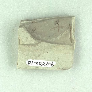 ヤマアリ亜科の一種