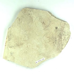 ハナアブ科の一種