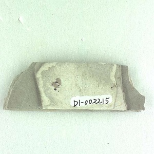 カバノキ属の一種の翼果