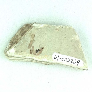 クロべ属の一種