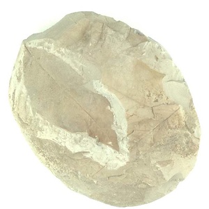 クロモジ属の一種