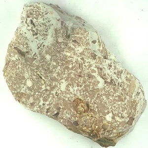 葉の破片の密集層