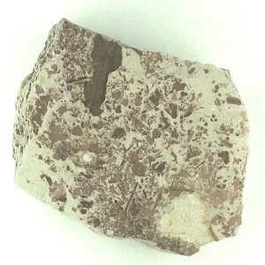 葉の破片の密集層