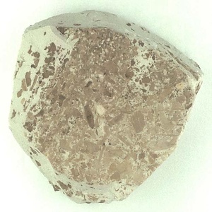 葉の破片の密集層