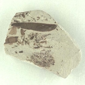 葉の破片の密集層