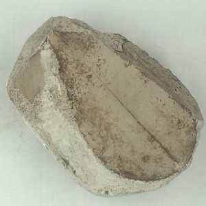 エオワイティアナポプラ