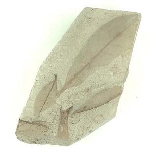 ツツジ属の一種