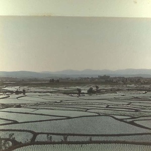 明治手彩色写真帖　ファサリ商会写真店製