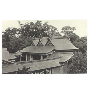 絵葉書コレクション