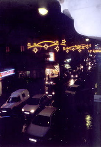 ニューヨーク・コミュニティガーデン視察一式