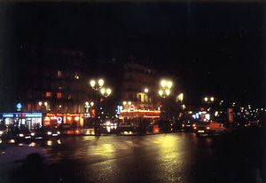 ニューヨーク・コミュニティガーデン視察一式