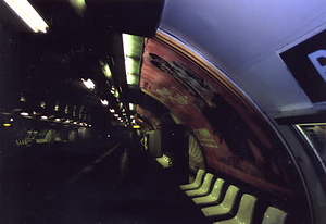 ニューヨーク・コミュニティガーデン視察一式