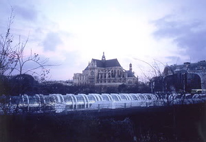 ニューヨーク・コミュニティガーデン視察一式