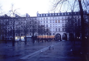 ニューヨーク・コミュニティガーデン視察一式