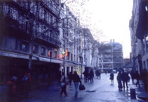 ニューヨーク・コミュニティガーデン視察一式