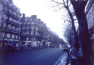 ニューヨーク・コミュニティガーデン視察一式