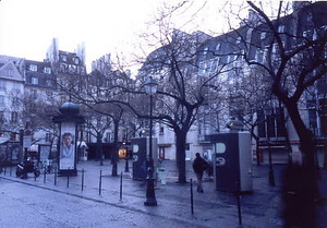 ニューヨーク・コミュニティガーデン視察一式