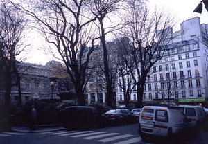 ニューヨーク・コミュニティガーデン視察一式