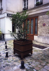 ニューヨーク・コミュニティガーデン視察一式