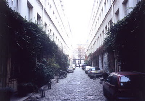 ニューヨーク・コミュニティガーデン視察一式