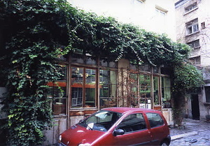 ニューヨーク・コミュニティガーデン視察一式